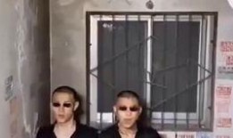 攀娘最新爆料视频大全,揭秘娱乐圈幕后真相